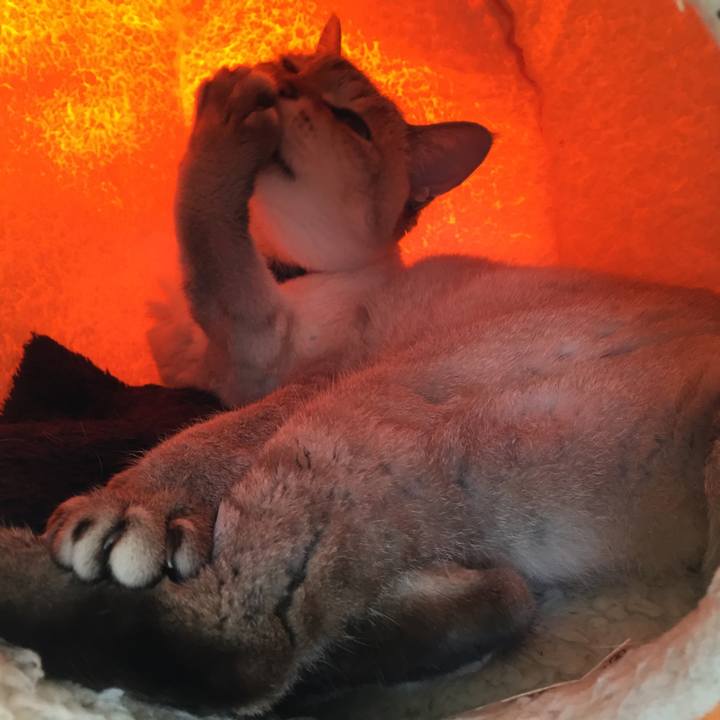 A5a98782 d902 4215 aa73 72bf97dd09c0 1516495060670