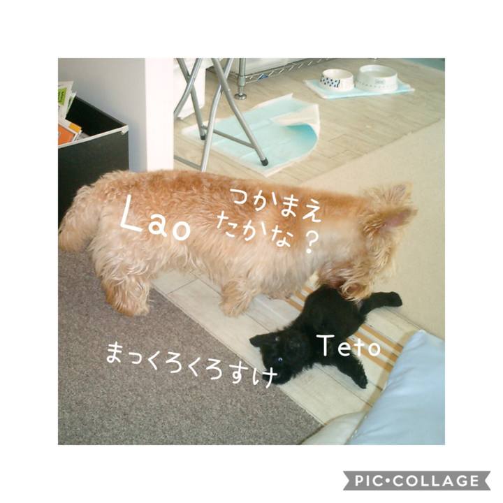 A5a9a463 9a0a 40c9 b11e 7e0f8ba07a8c 1566365942107