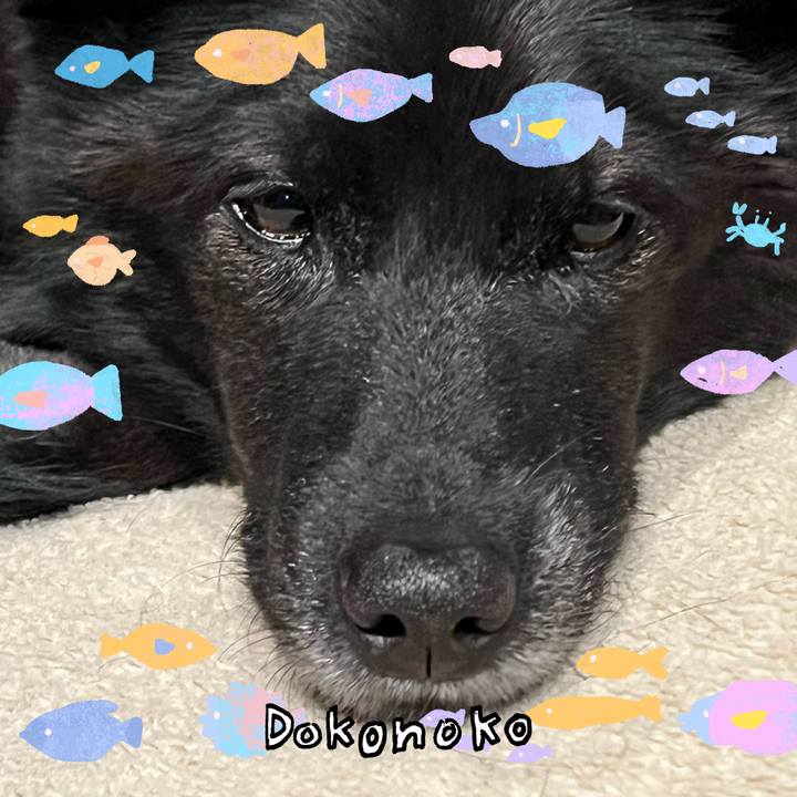 A5a9b080 2253 44c6 870e 46ec3b270931 1755247566681