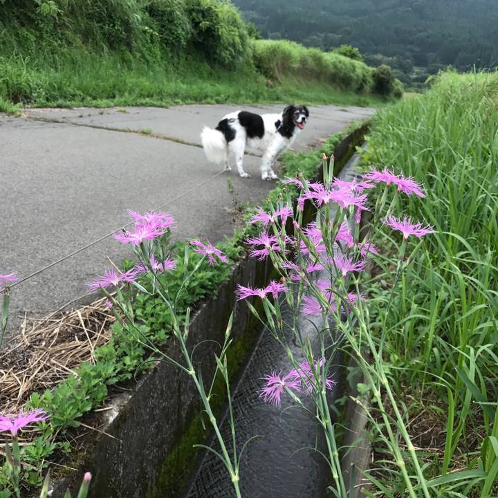 A5a9c6c9 5de6 4252 a409 3a1de3c94ff4 1533188582980