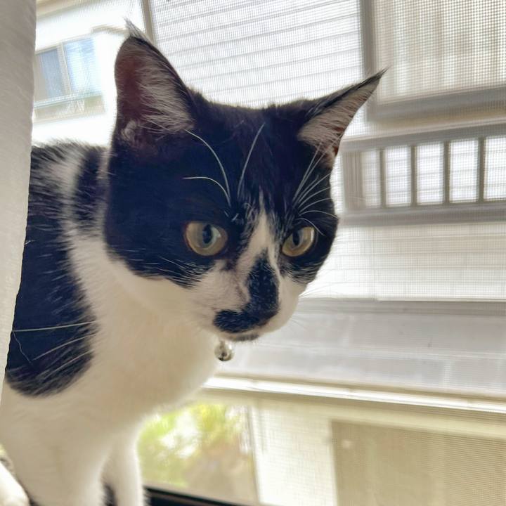 A5a9e6c5 c6ac 4119 b3ac 086d54613378 1752188075153