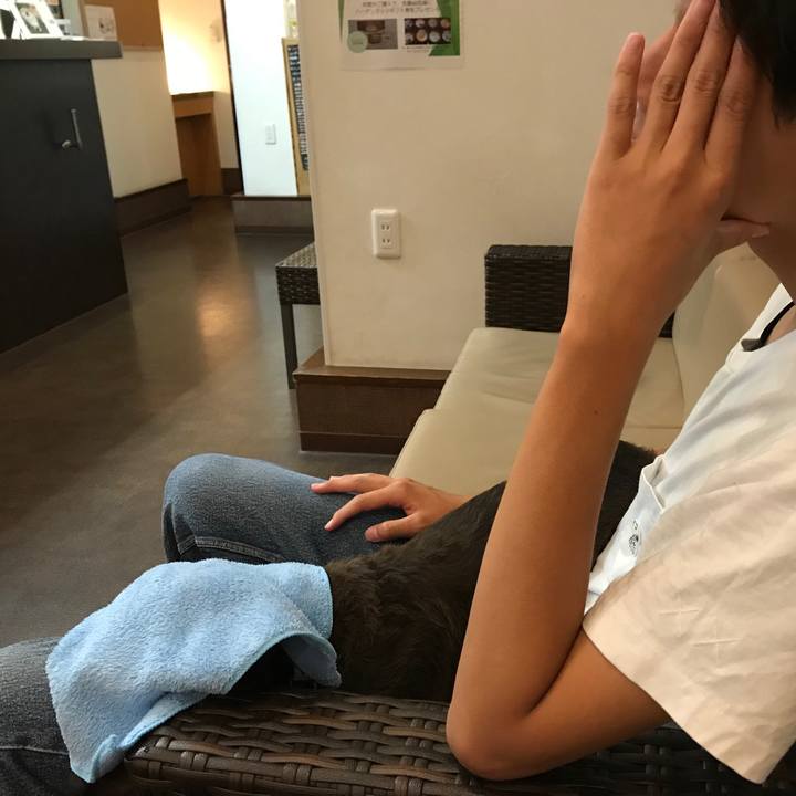 A5ab0d68 a40c 41a9 93b9 221186842c56 1529936177346