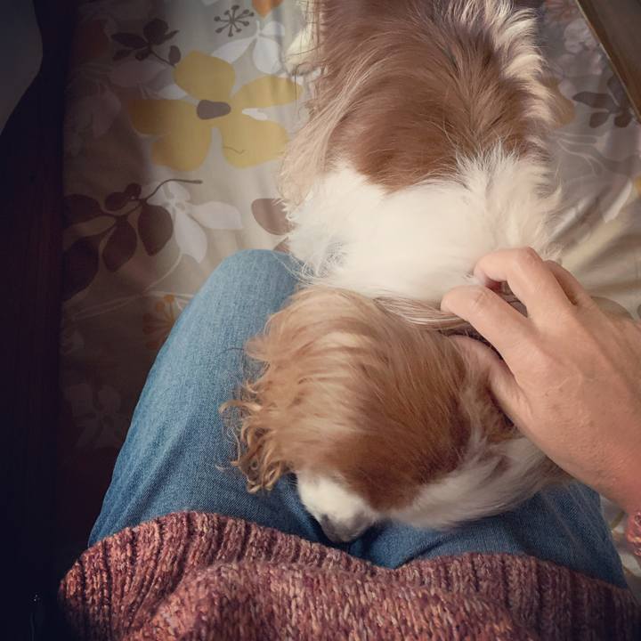 A5ab3be8 c5e5 4460 9eaa 5b99fd30233d 1574894758334