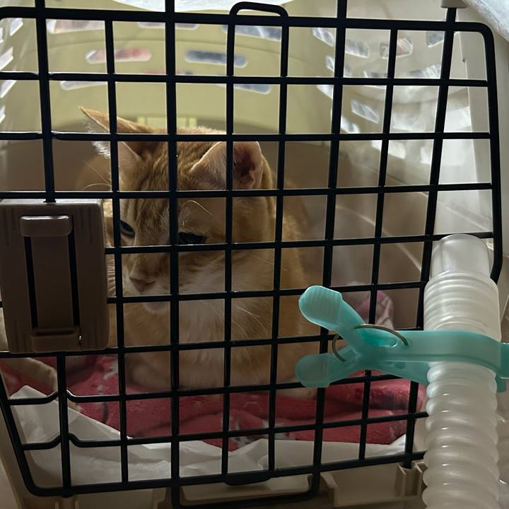 A5ab406c 22f7 4751 9432 2bfa968c935a 1677760578355