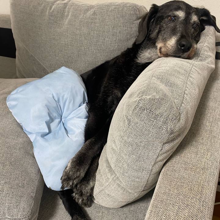 A5aba7ff aae6 4e90 871d 174270048578 1753836291947