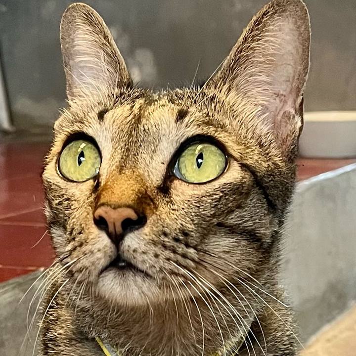 A5abb297 8bde 4708 afd2 69ef4822709b 1762589143039