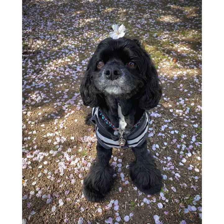 A5abb8e5 3667 46fd 9179 ced2d012f8d9 1649416338952