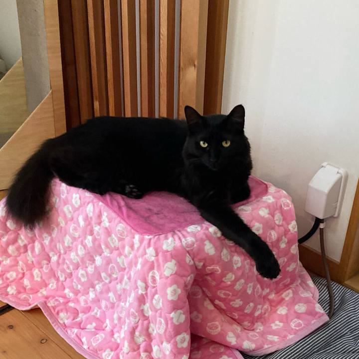 A5abdc32 a9e8 42c4 bec4 a4587a8be7fa 1738588206367