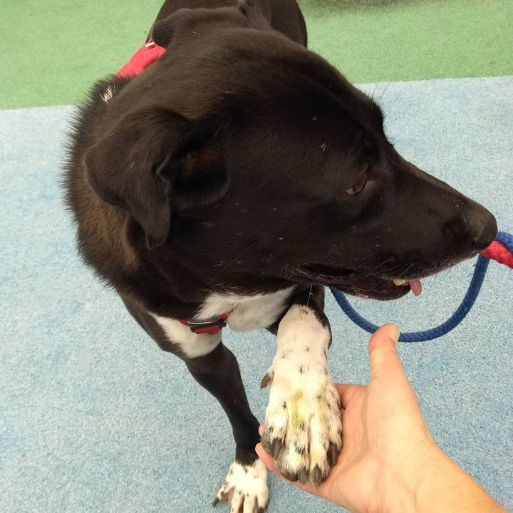 A5abfaa7 86e6 4d75 a0ea 8bd8ff505f7c 1602633905068