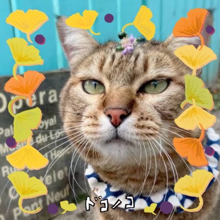 A5ac2f93 d7d7 4061 a724 9f53c9939eba 1729759515558