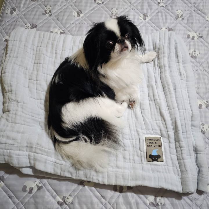 A5ac5b5d da88 4b9e a71e 58870e9bf077 1685484899615