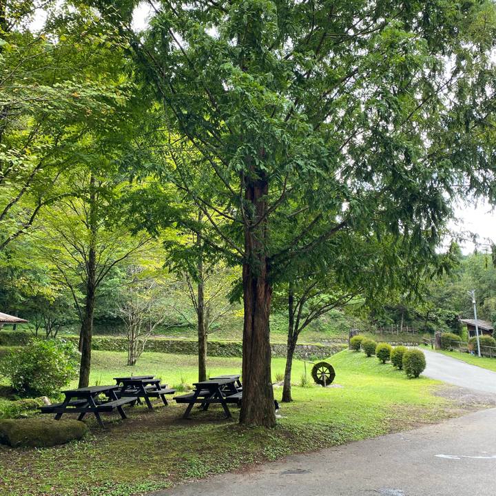 A5ac6157 6304 41a0 853b d7ed88e6a84b 1630913845483