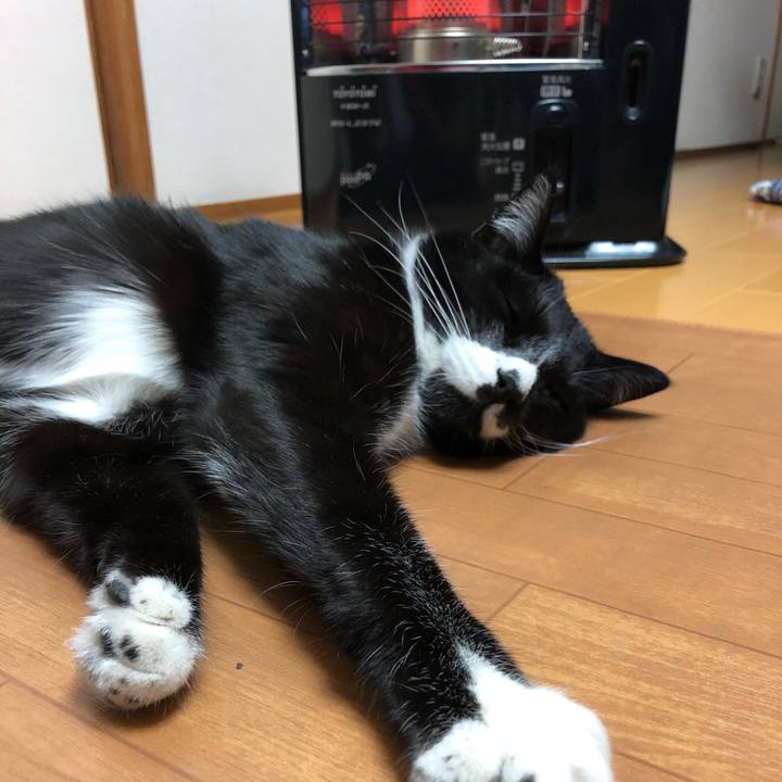 A5ac8848 d3a8 48f7 b05c d6891e3fc778 1519616693829