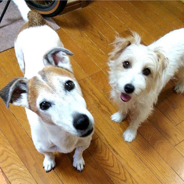 A5acc2e5 2f00 459d 94c4 2e03b736cb13 1660393433094