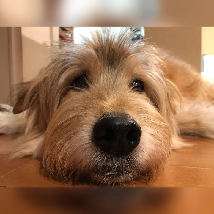 A5ace198 18b8 4f8f a36a 0797b20dd63c 1640652845787