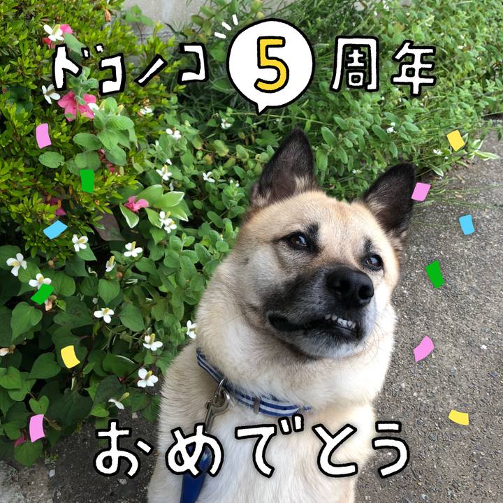 A5acee42 6972 4bef bd62 da7055b306c3 1622888642975