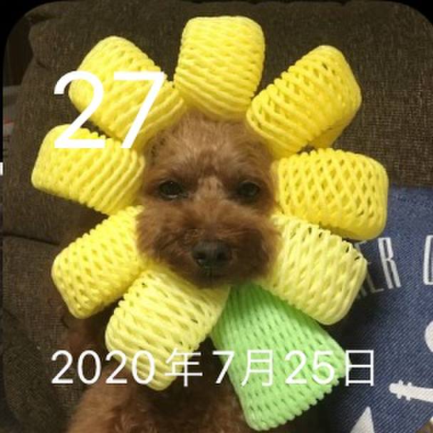 A5ad03f9 1413 45a9 8f73 f3ae047e734b 1690419434841