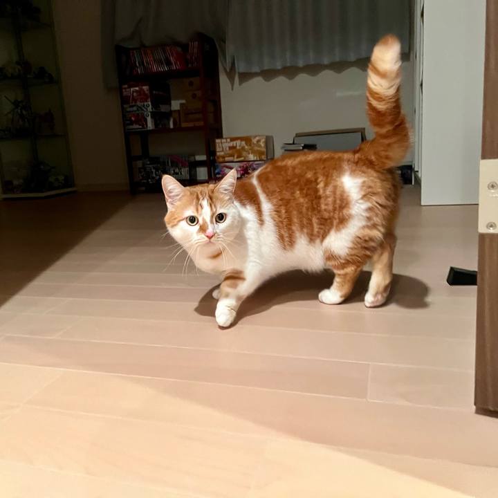 A5ad2002 29db 4cf9 af71 c98291c8b014 1769397951909