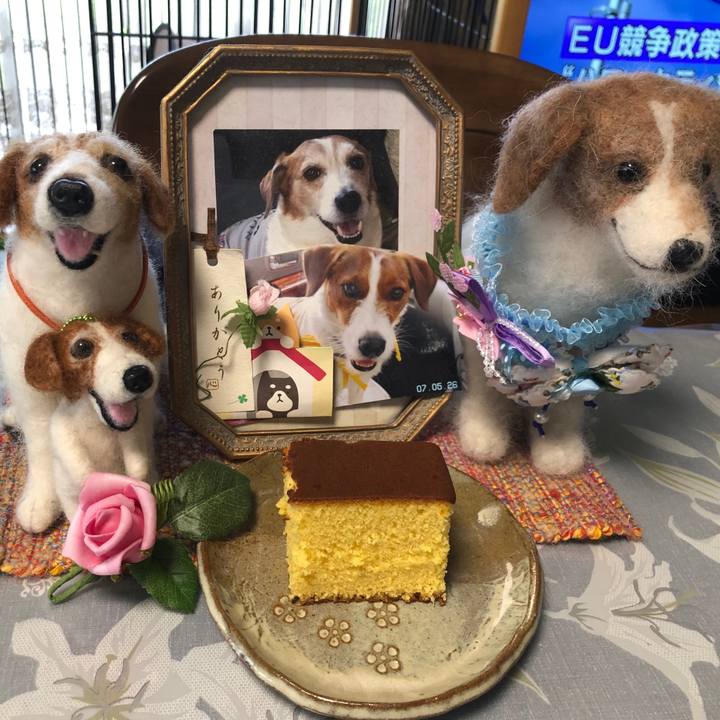 A5ad3394 3eab 4021 9618 08f2cf99856f 1562728858766