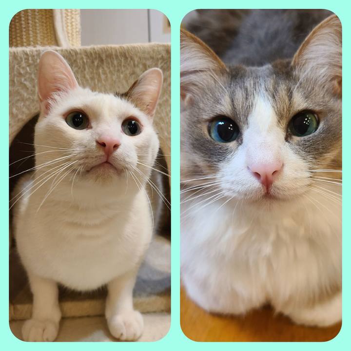 A5ad4499 28f6 46d3 9639 67f8113e4bf4 1659407090152