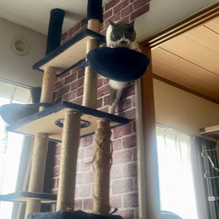 A5ad4b1b 62e6 49d8 a333 bb04370ec723 1743492772935