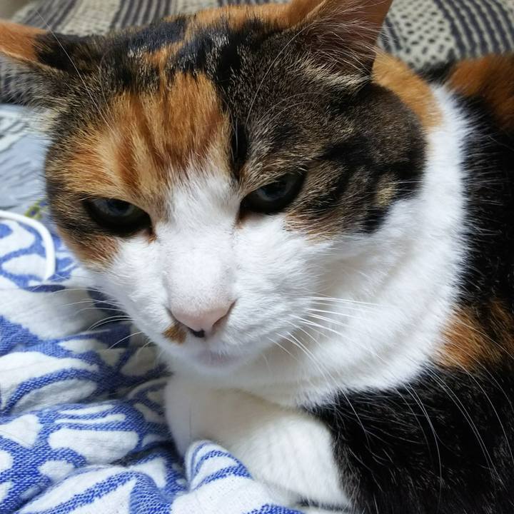 A5ad9d0e c524 4852 aad2 4bdf3cc8350c 1531538678355