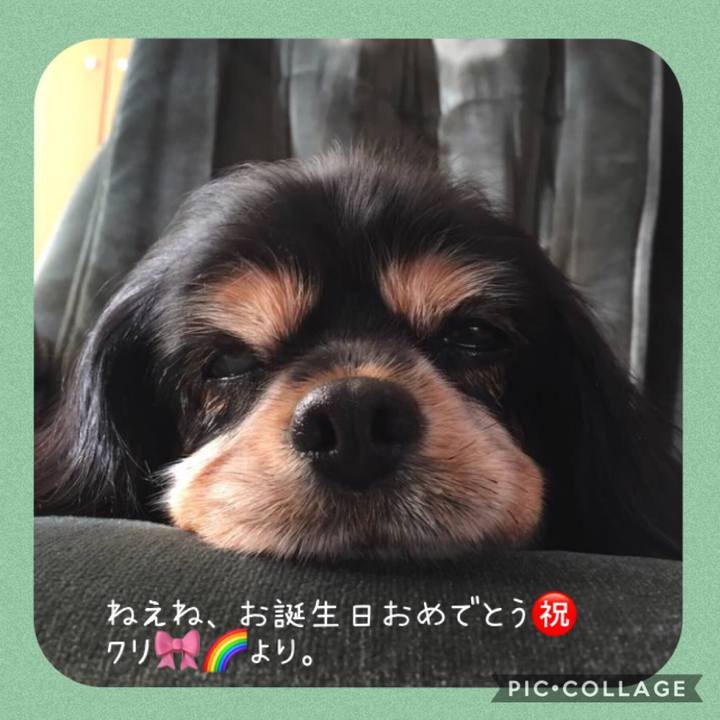 A5adb8e1 2140 44c4 bf29 62919659c23d 1548500790738