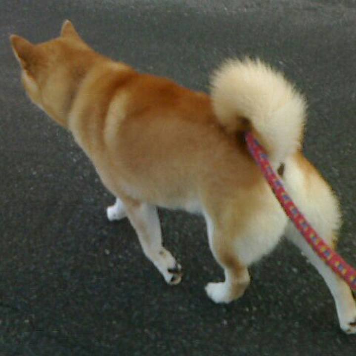 A5adc0f4 0103 4895 b3a3 247c1998fffc 1536663287701