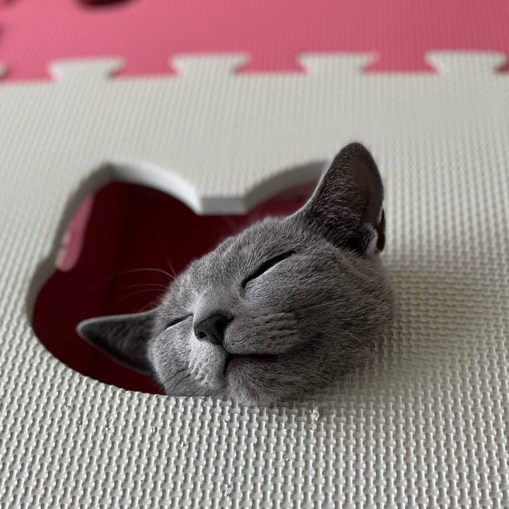 A5add1a0 4f3c 420e 933a 872adb9fa49e 1614818361906