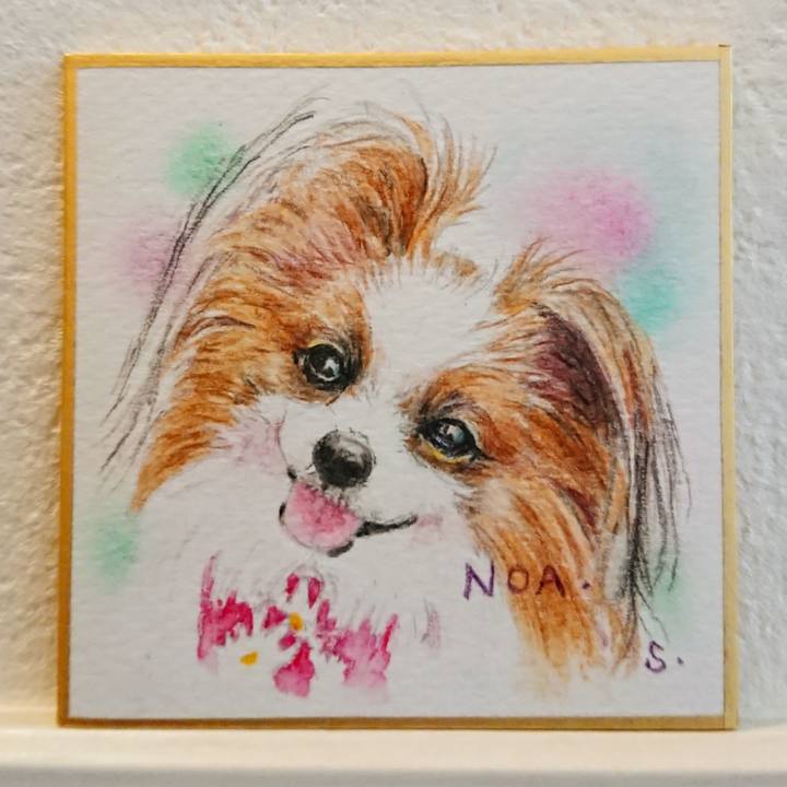 A5ade73b b9aa 4f9b 8ecf d8d789d3ce23 1587184590441