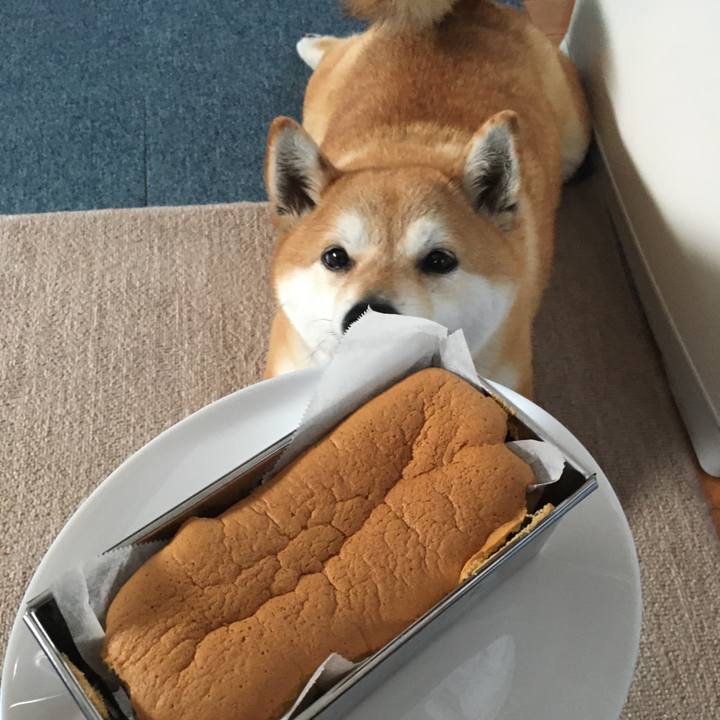 A5ae01f3 d3fd 40ea a81b f818cb0dbe43 1615875412083