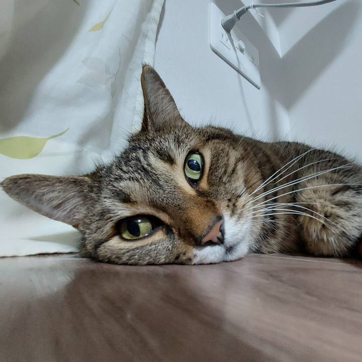 A5ae6921 b913 4a11 9177 b38918177007 1628940375673