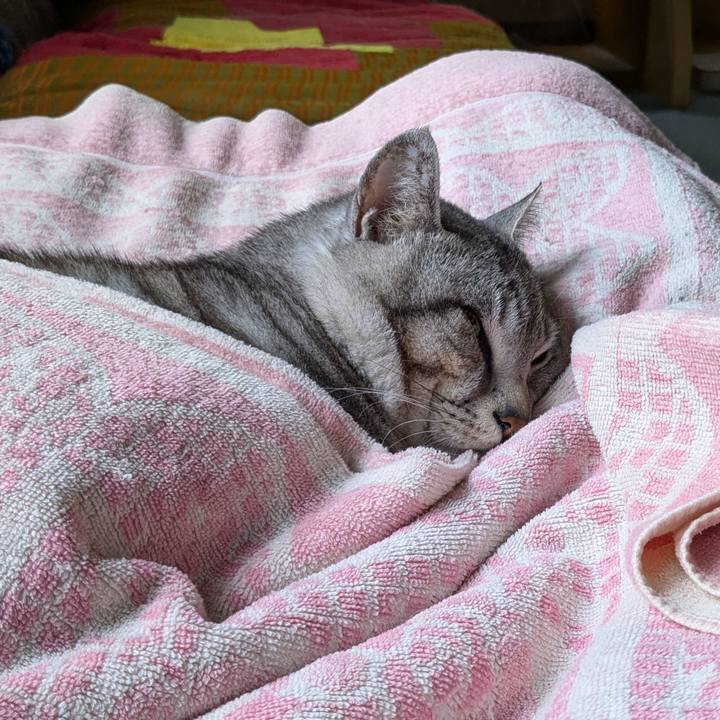 A5ae72a4 ecdb 4ff9 a1d1 c5aa14ac96d6 1718854533793