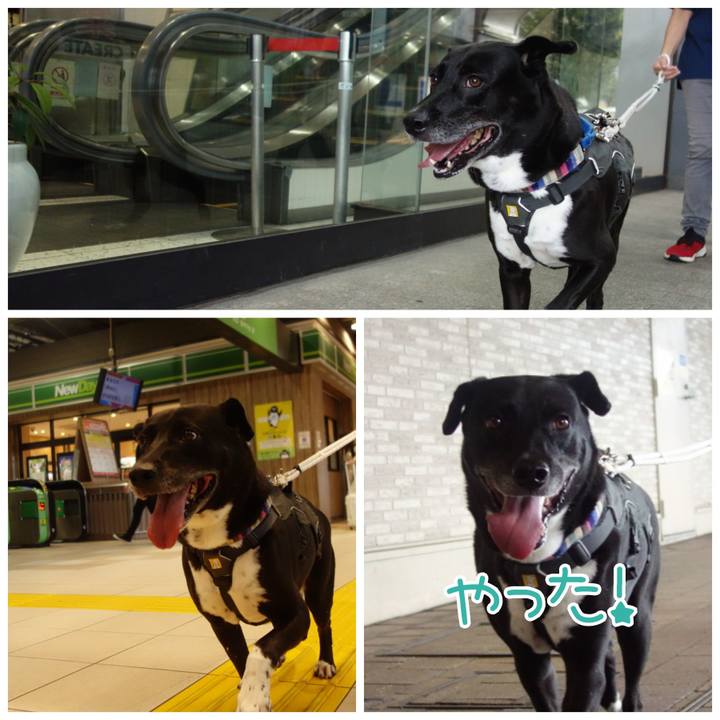 A5ae76df 2f82 4b1a 88f8 27baca2065e1 1664068270107