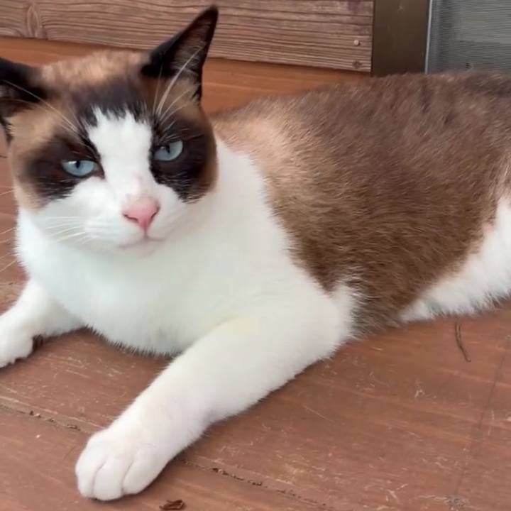 A5ae90cf 18c8 4951 bc1b d9e5ace302db 1751078680486