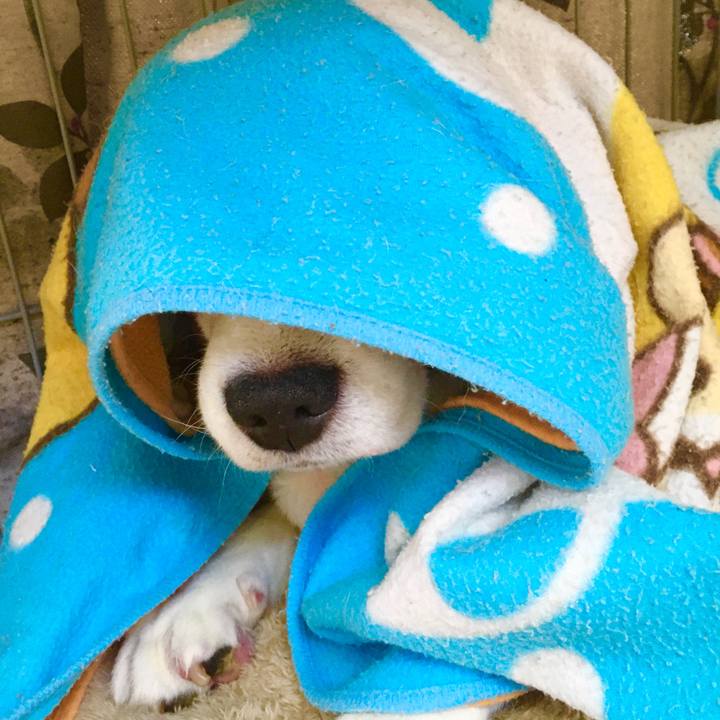 A5aeb820 9f3c 4ab9 a3bb 3331c7b48462 1574998707145