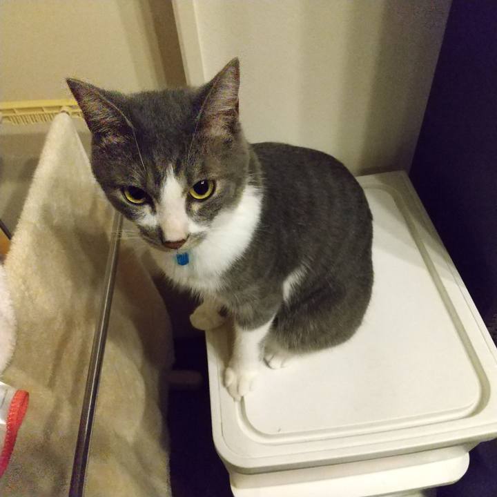 A5aec394 e62f 4c94 9544 83cc05800b1c 1599145192097