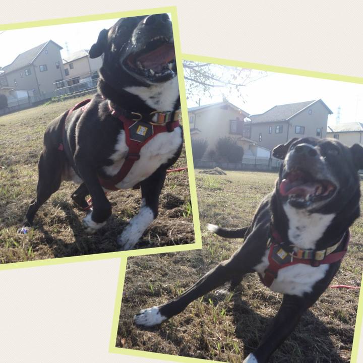 A5aec72e 7db3 4bd6 8d8e e4dd679cb4ff 1697763442833