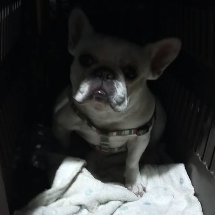 A5aec9f9 4446 4430 bdb0 584fa9dca444 1653083810597