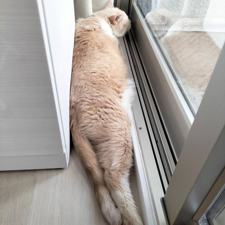 A5aeeb0b 46b9 4ebe a20f ef70aa74a9d8 1692321367034