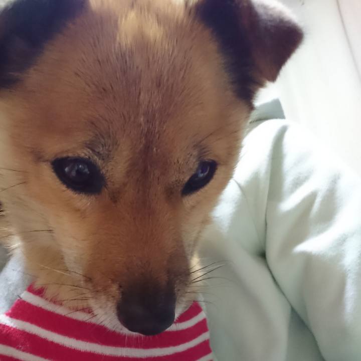 A5af1065 589f 4ea3 84ea c4b8d7af4a5a 1575363821793