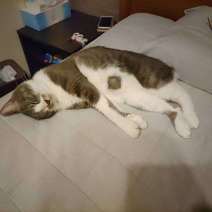 A5af7c5a 1cd7 4959 b281 be3e5df3a2c8 1660741012893