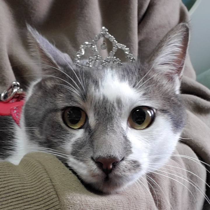 A5af96e7 c190 4b4a a72d b4db2964b306 1702183214763