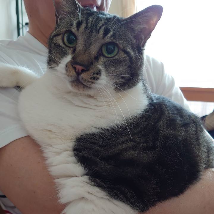 A5afd4c0 43bb 4baf a9f7 ec90e2d1b7f3 1660280976105