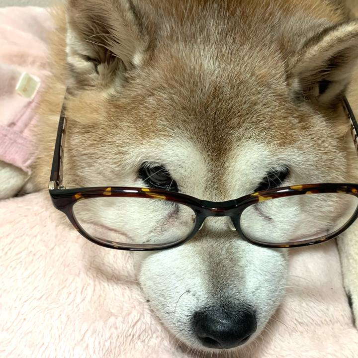 A5afdf65 91a1 4623 ac71 09ff558c0752 1636806121501