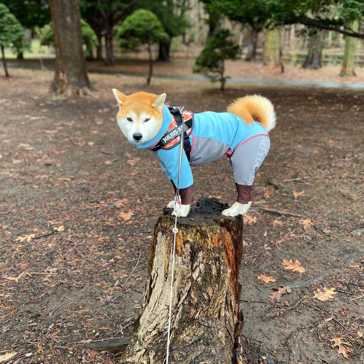 A5afe983 0ce6 4275 9a04 bf00cfffda36 1618794374752