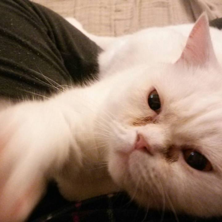 A5aff323 eb62 4cbe a765 a77bbe52baa4 1512515708330