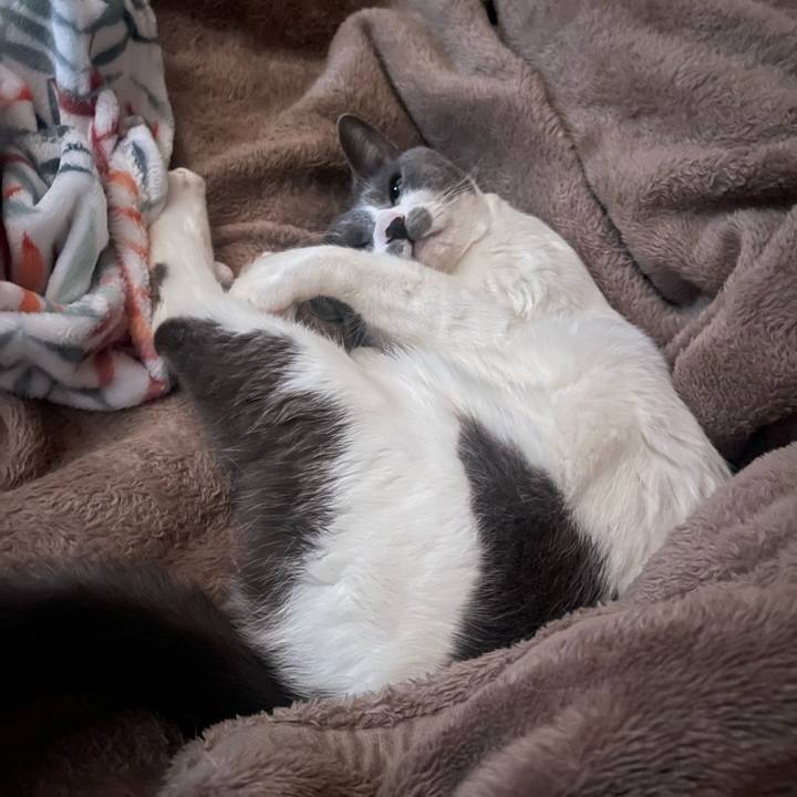 A5aff4c8 b564 4f44 bbef 5c5c6a967fd2 1679955609807