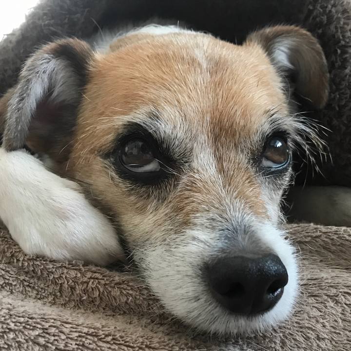 A5b06031 1737 4aa8 8b9c 29a80980c2e5 1587965469768