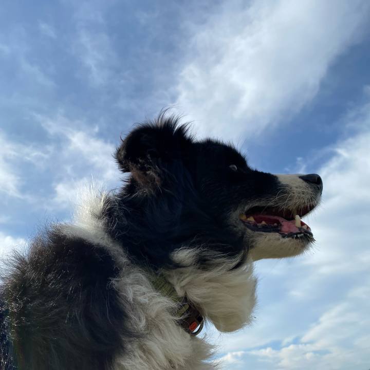 A5b071c6 3c8e 4723 a45b fe06836cdd80 1634689272374